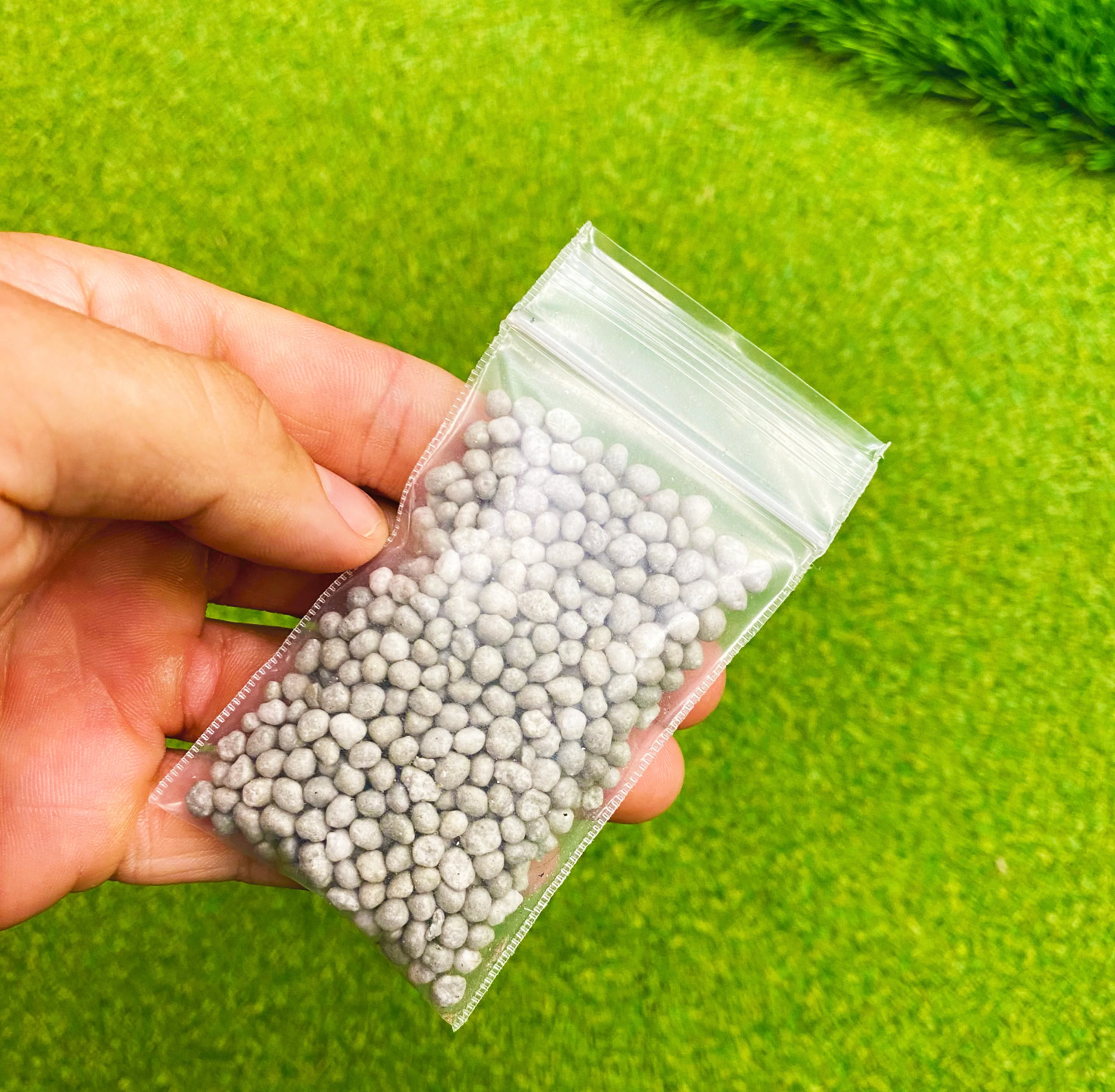 1 year fertilizer - Image 4